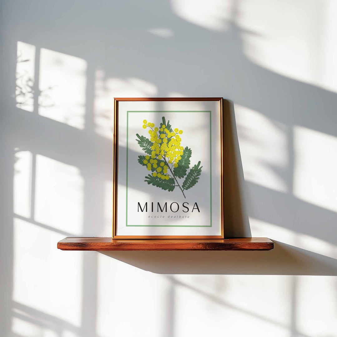 Mimosa | Flower Art Print