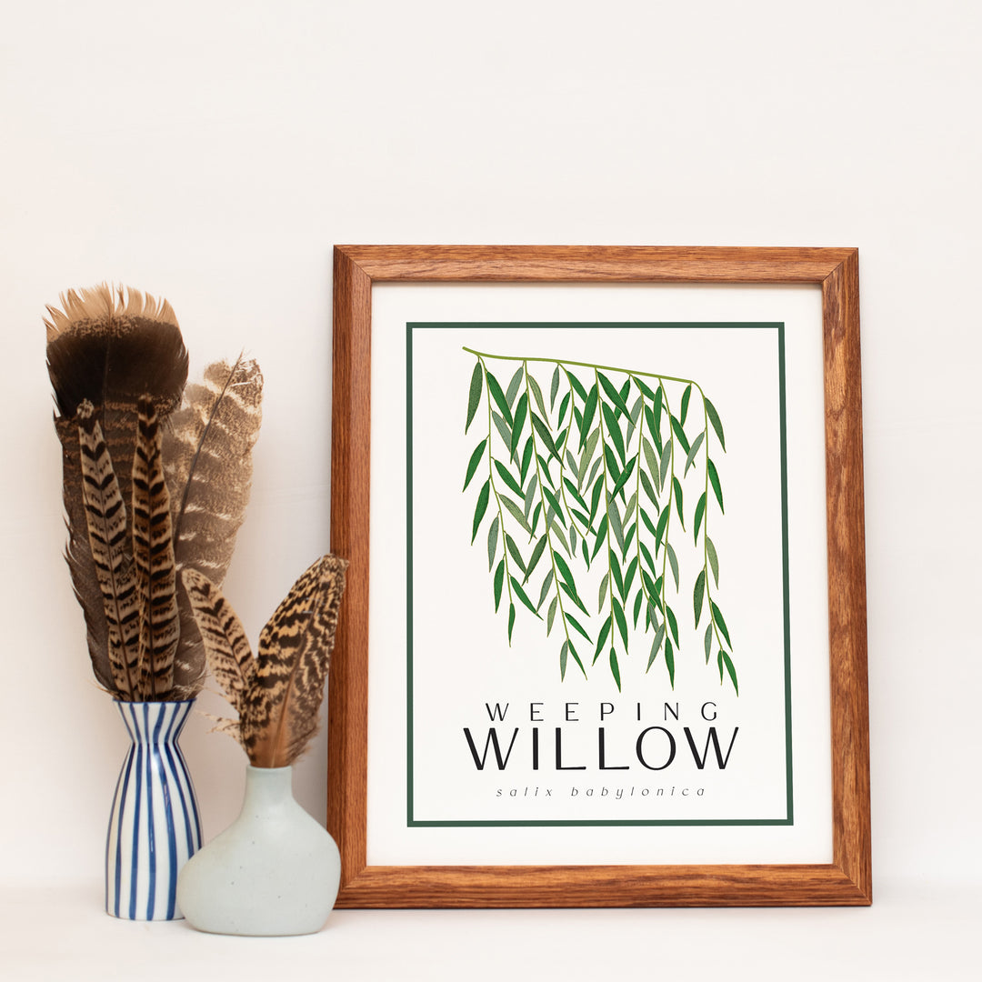Willow | Tree Wall Art