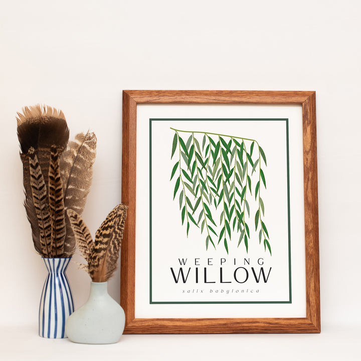 Willow | Tree Wall Art