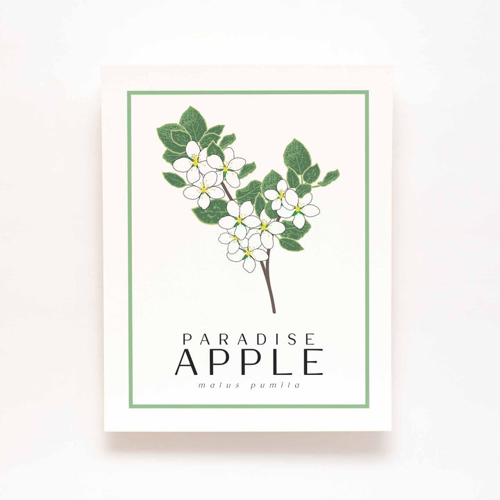 Apple Blossom | Flower Art Prints
