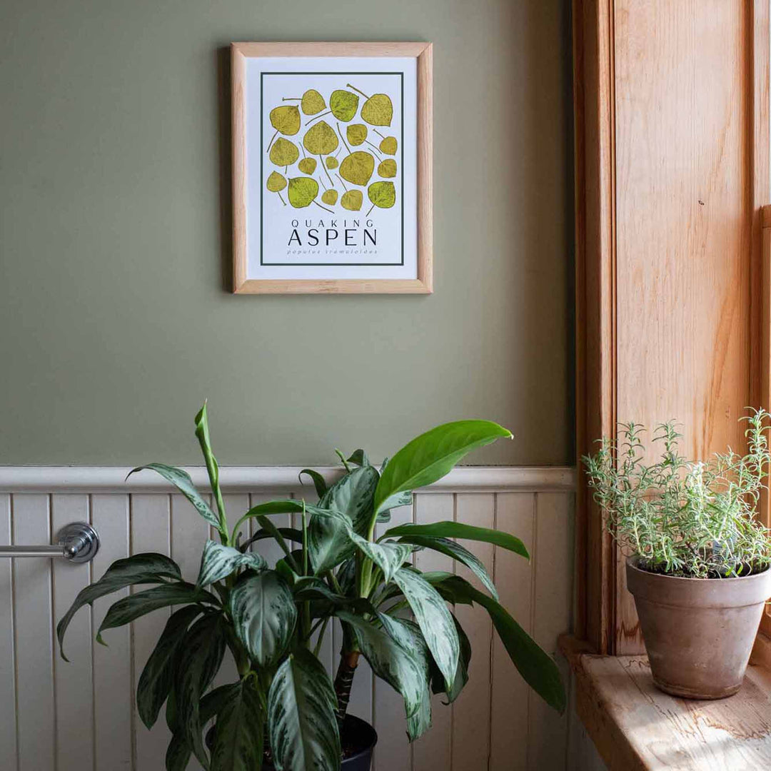 Aspen | Tree Wall Art