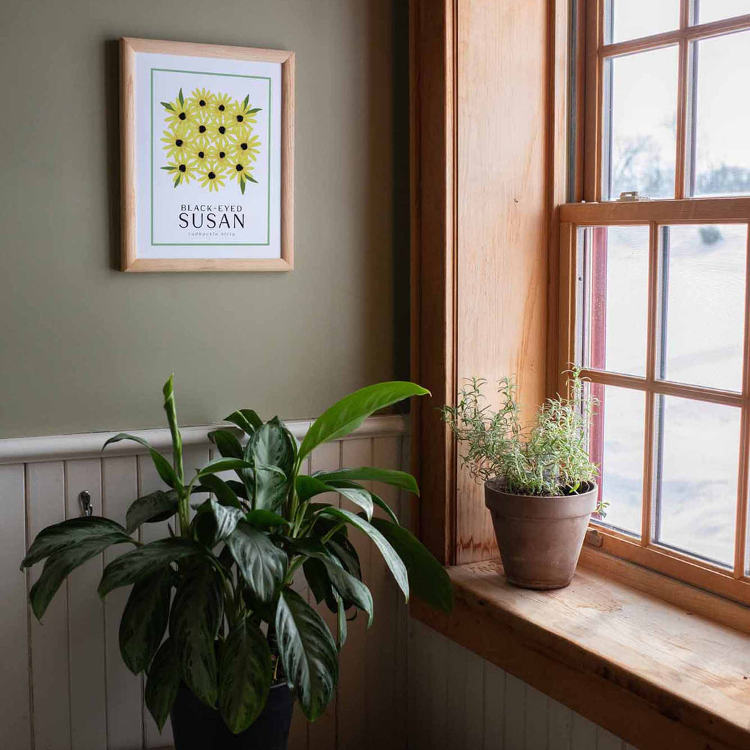Black-eyed Susan | Flower Art Prints
