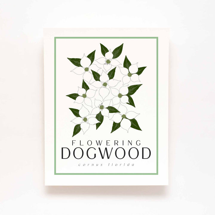 Dogwood | Flower Art Prints