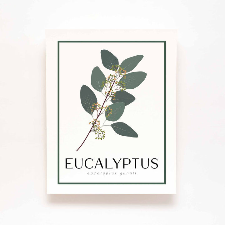 Eucalyptus | Tree Wall Art