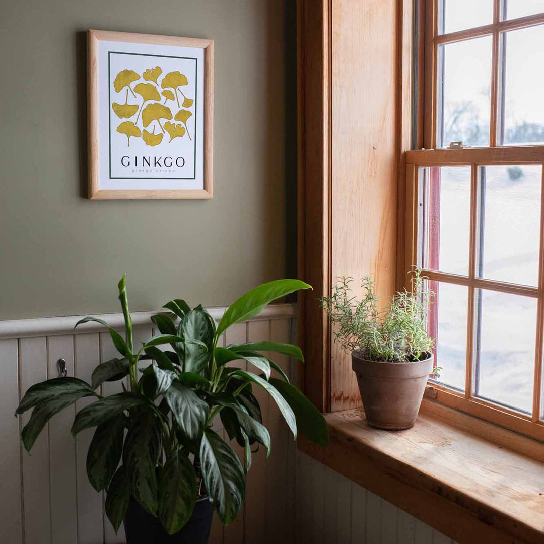 Ginkgo | Tree Wall Art