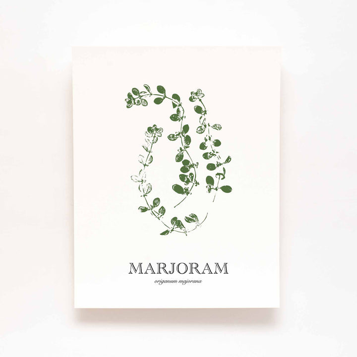 Marjoram | Herb Wall Art