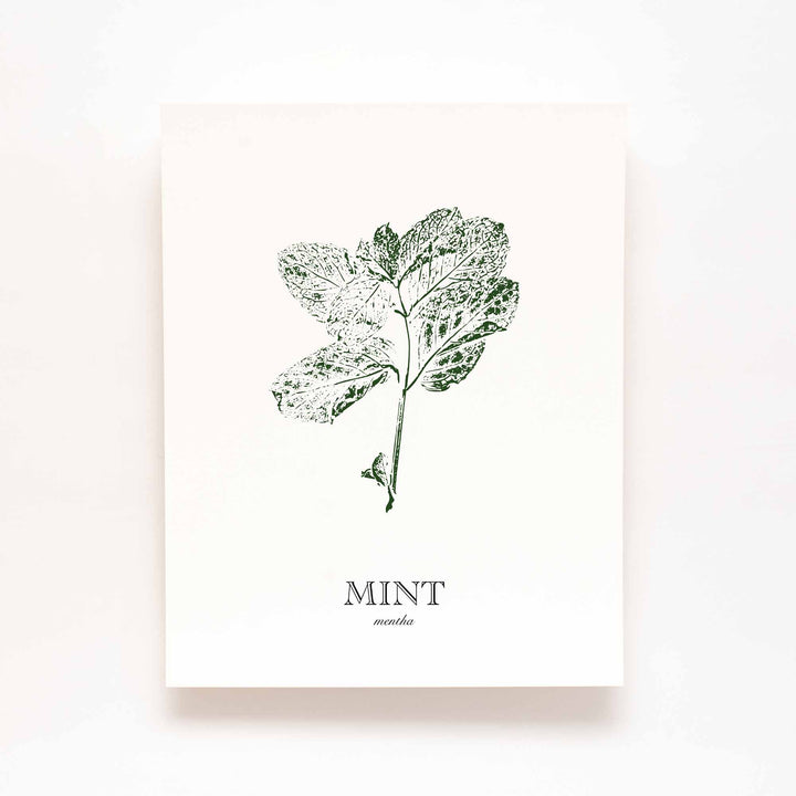Mint | Herb Wall Art
