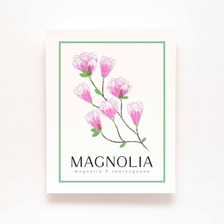 Magnolia | Flower Art Prints