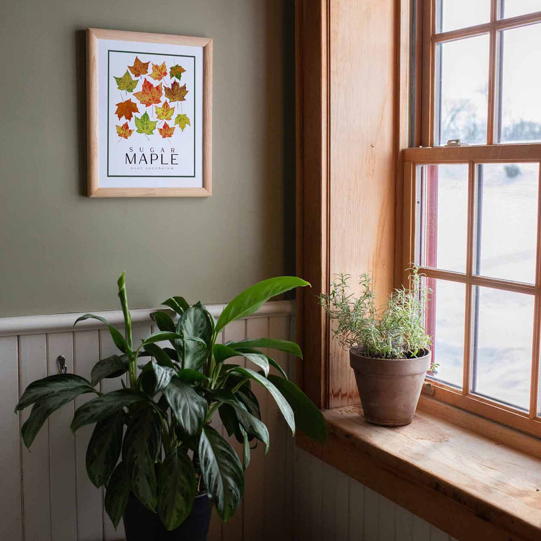 Maple | Tree Wall Art