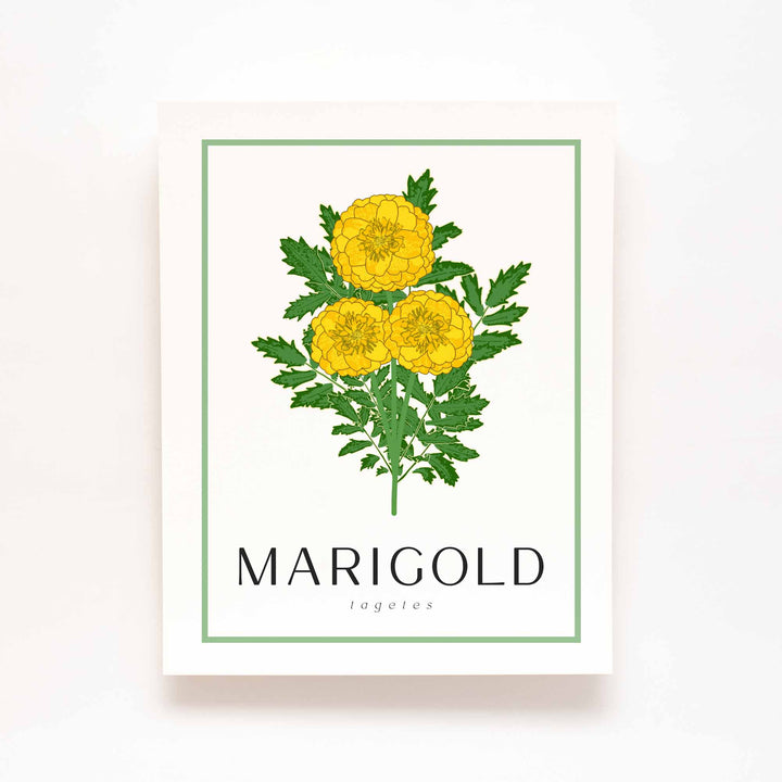 Marigold | Flower Art Prints
