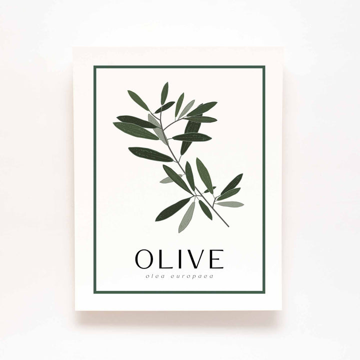 Olive | Tree Wall Art