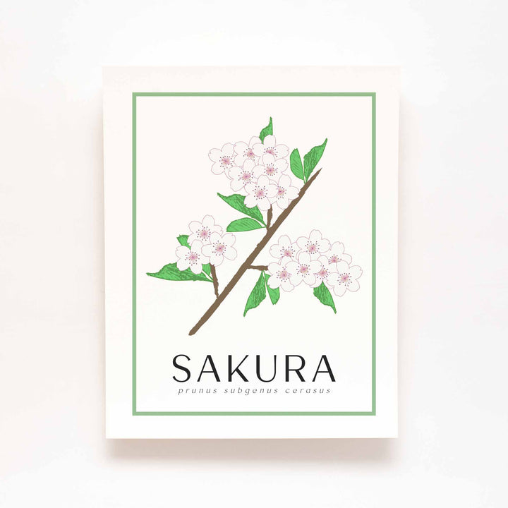 Sakura | Cherry Blossom | Flower Art Prints