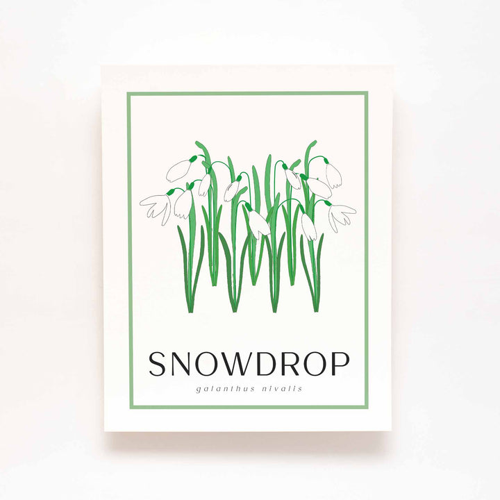 Snowdrop | Flower Art Prints
