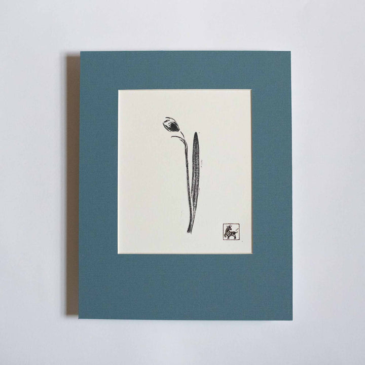 Snowdrop No.11