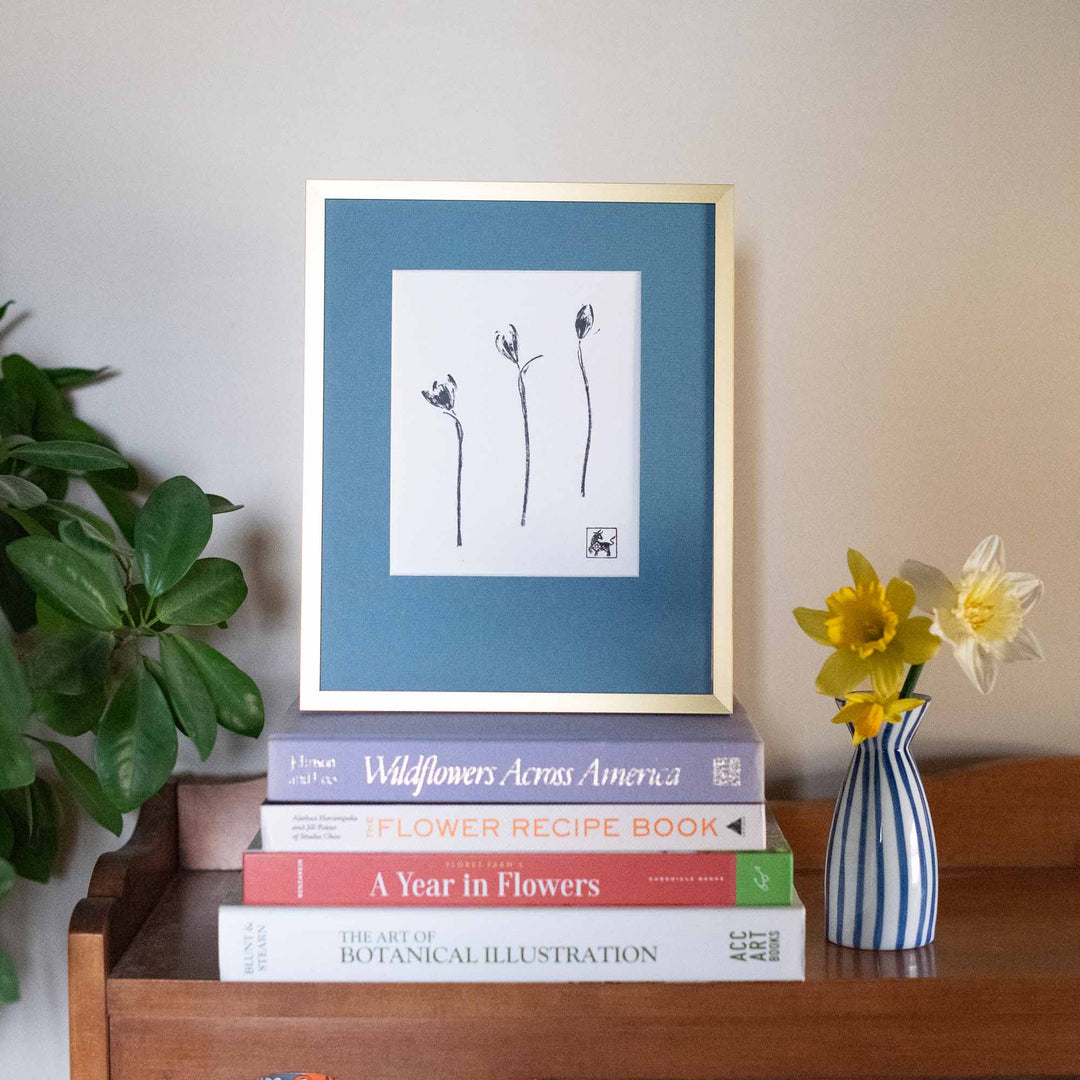 Snowdrop No.7