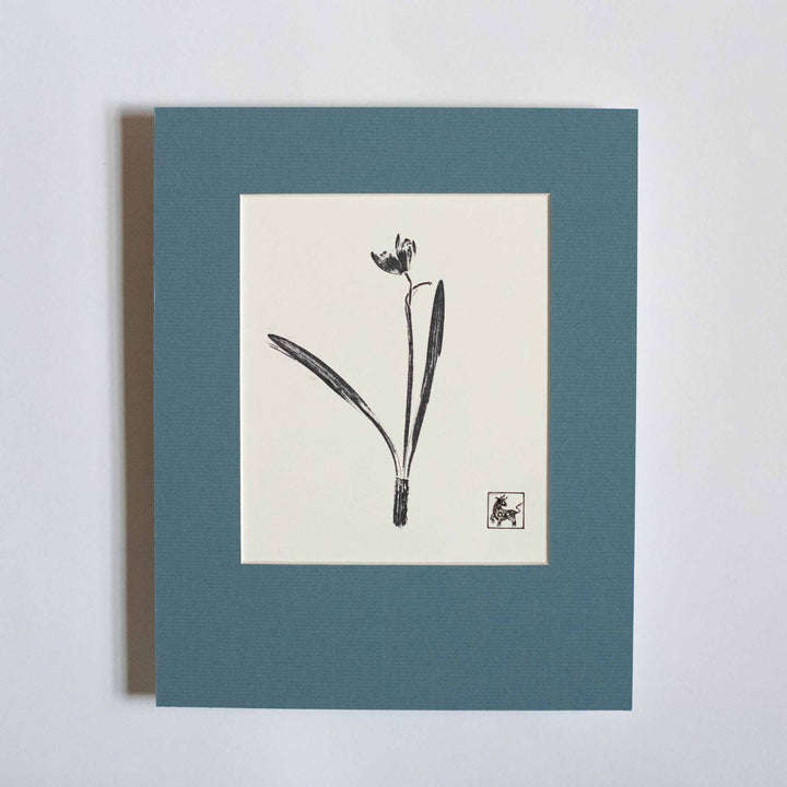 Snowdrop No.8