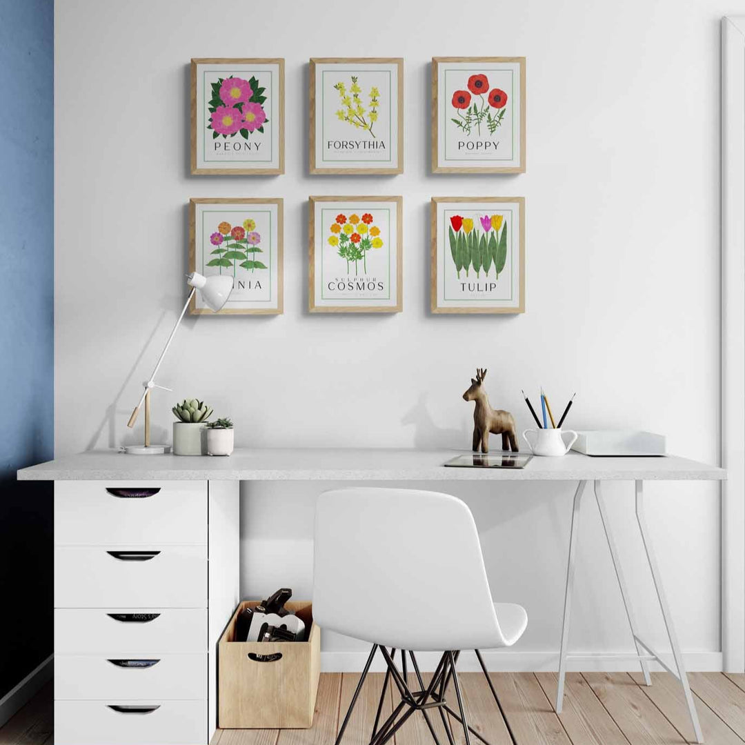 Peony | Flower Art Prints