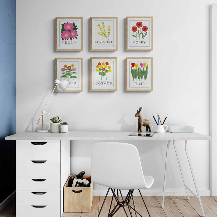 Peony | Flower Art Prints