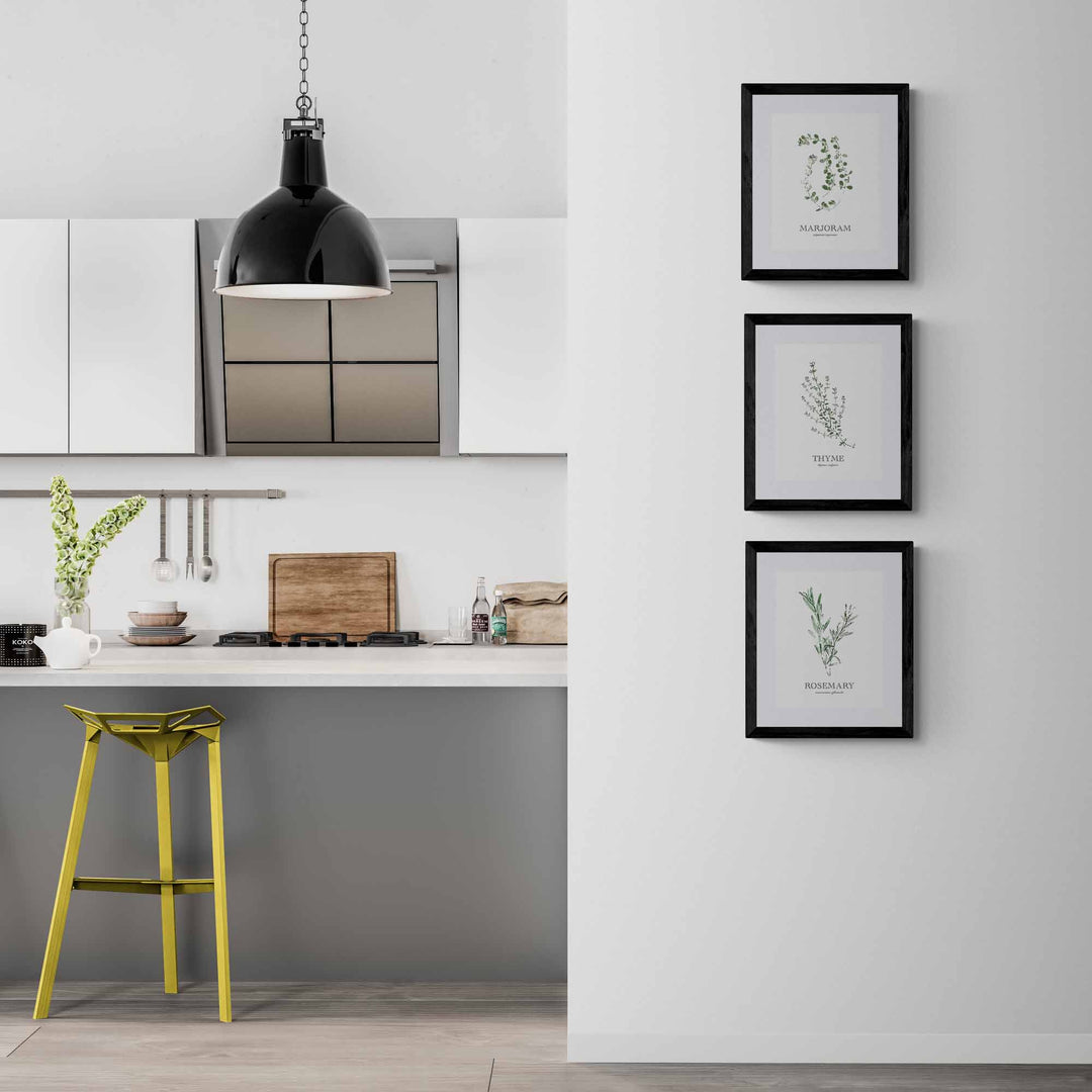 Marjoram | Herb Wall Art