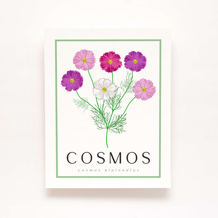 Cosmos | Flower Art Prints