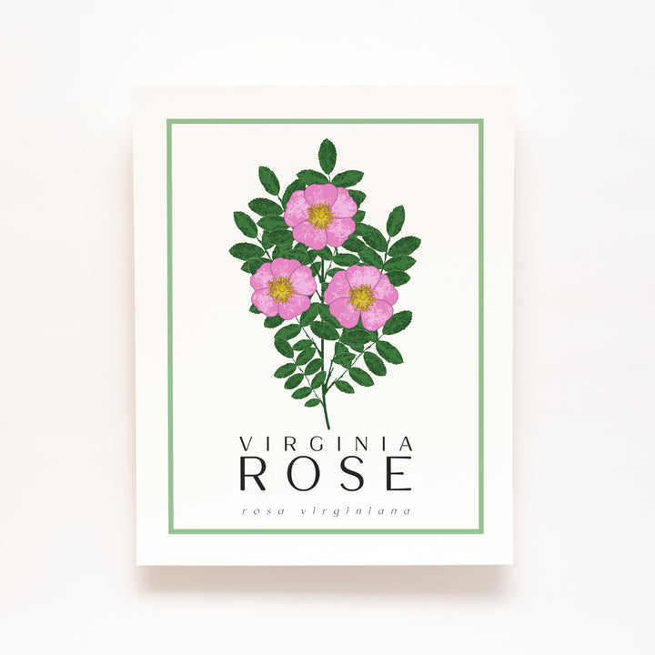 Virginia Rose | Flower Art Prints
