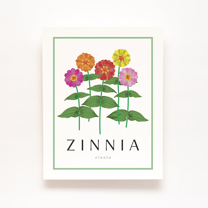 Zinnia | Flower Art Prints
