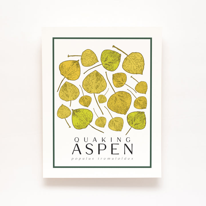 Aspen | Tree Wall Art