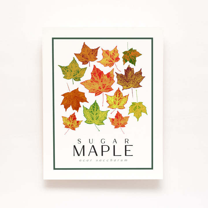 Maple | Tree Wall Art