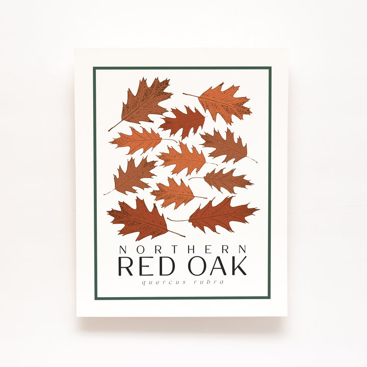 Red Oak | Tree Wall Art