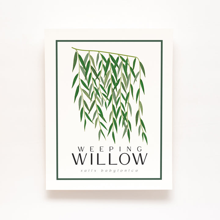 Willow | Tree Wall Art