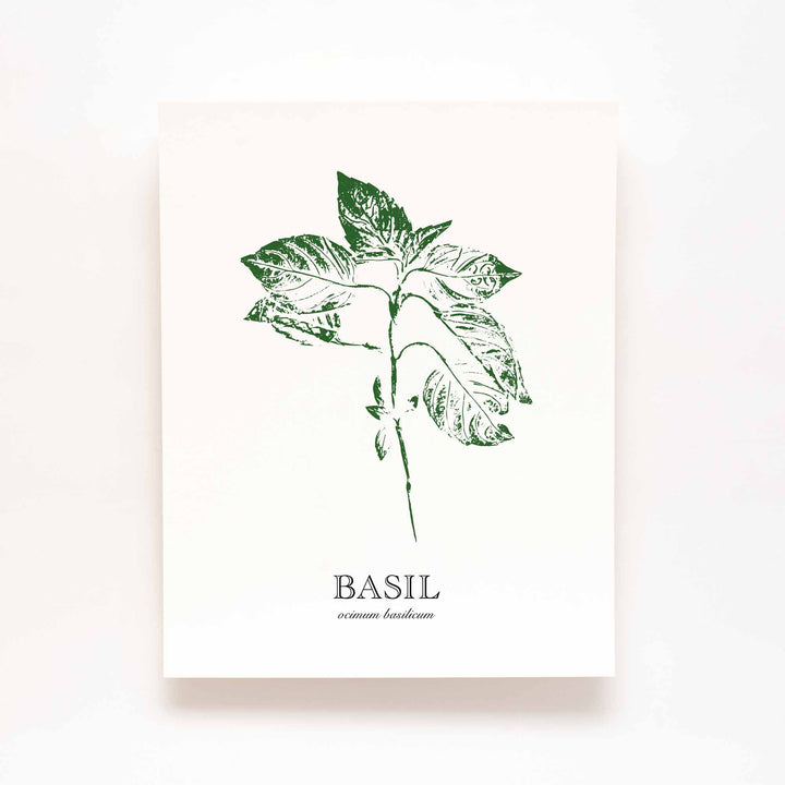 Basil | Herb Wall Art