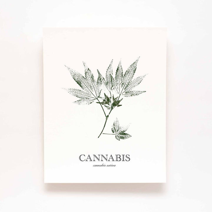 Cannabis | Herb Wall Art