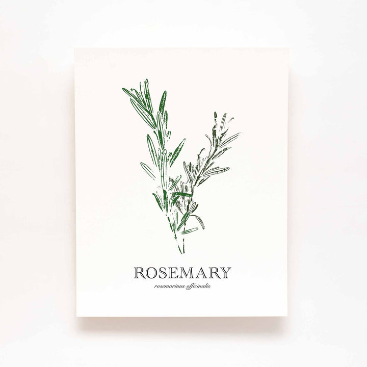 Rosemary | Herb Wall Art