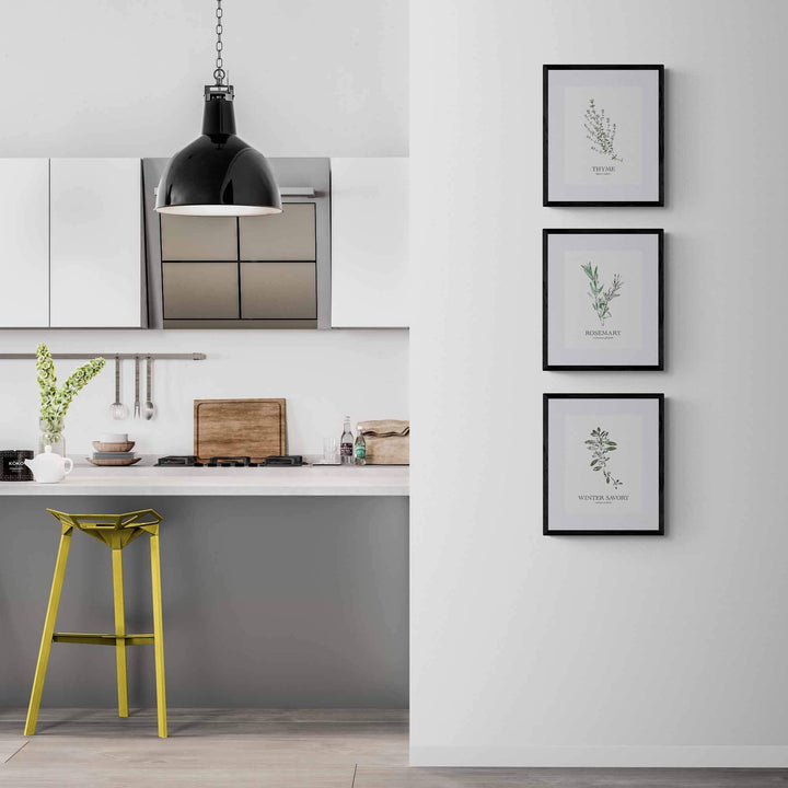 Thyme | Herb Wall Art