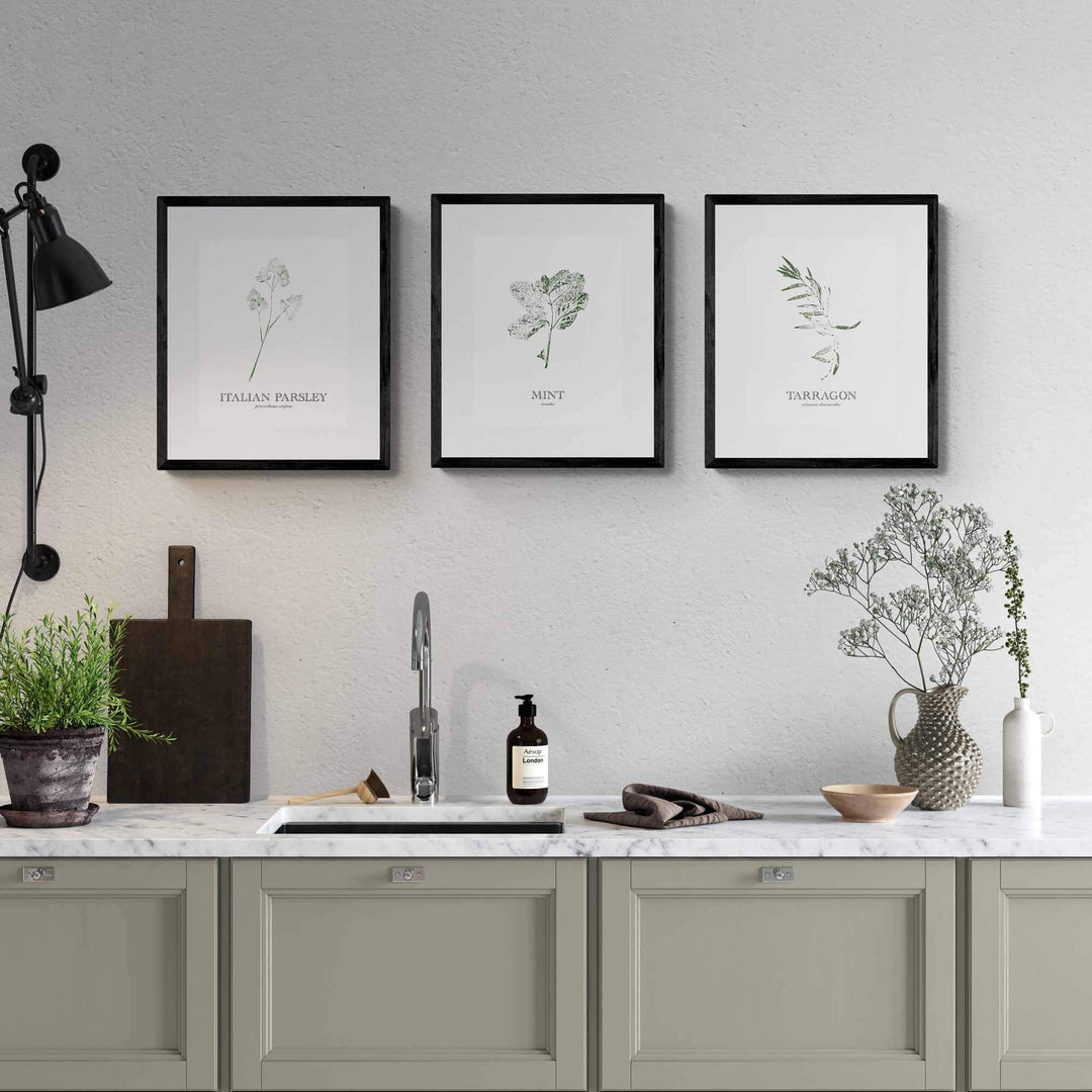 Mint | Herb Wall Art
