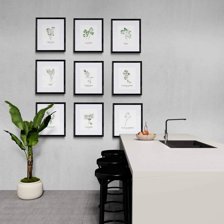 Basil | Herb Wall Art