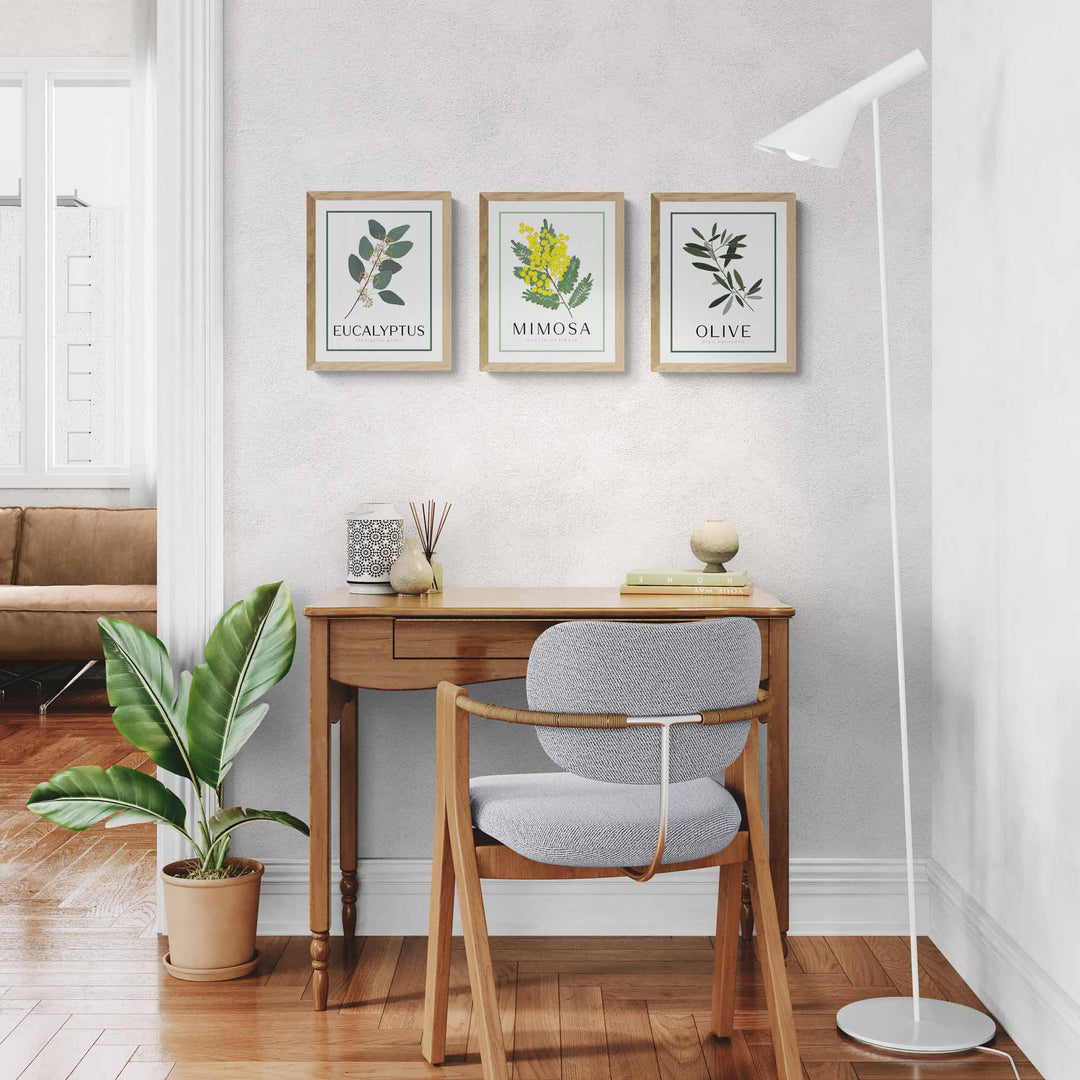 Olive | Tree Wall Art