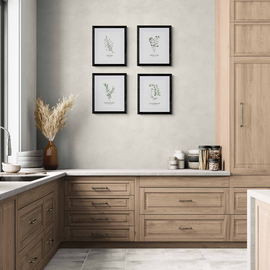 Marjoram | Herb Wall Art
