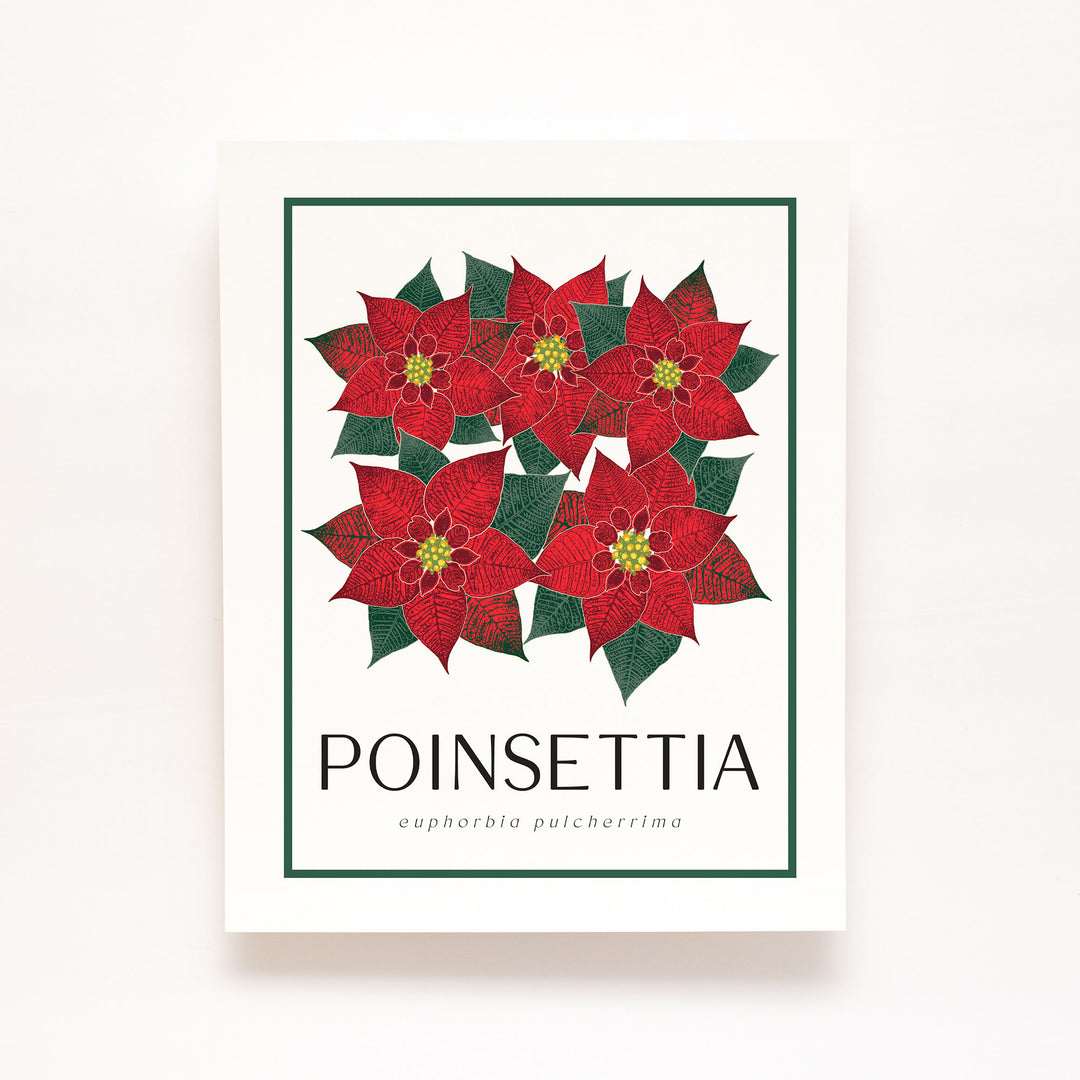 Poinsettia Art Print