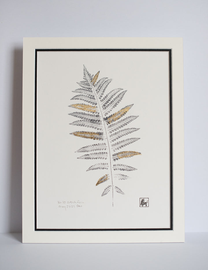 No 10. Ostrich Fern