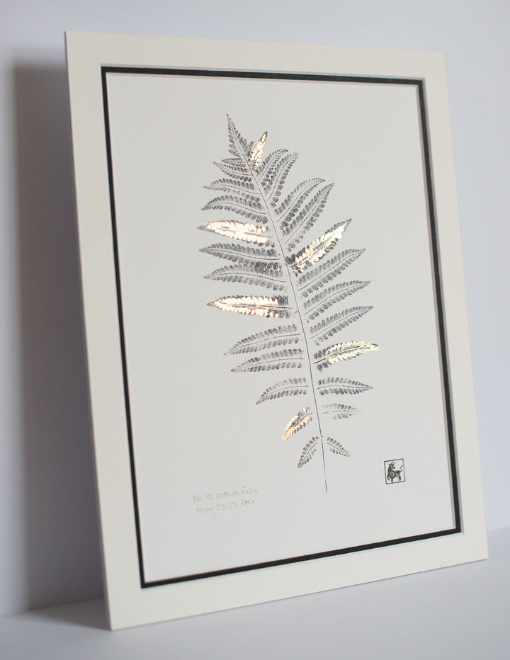 No 10. Ostrich Fern