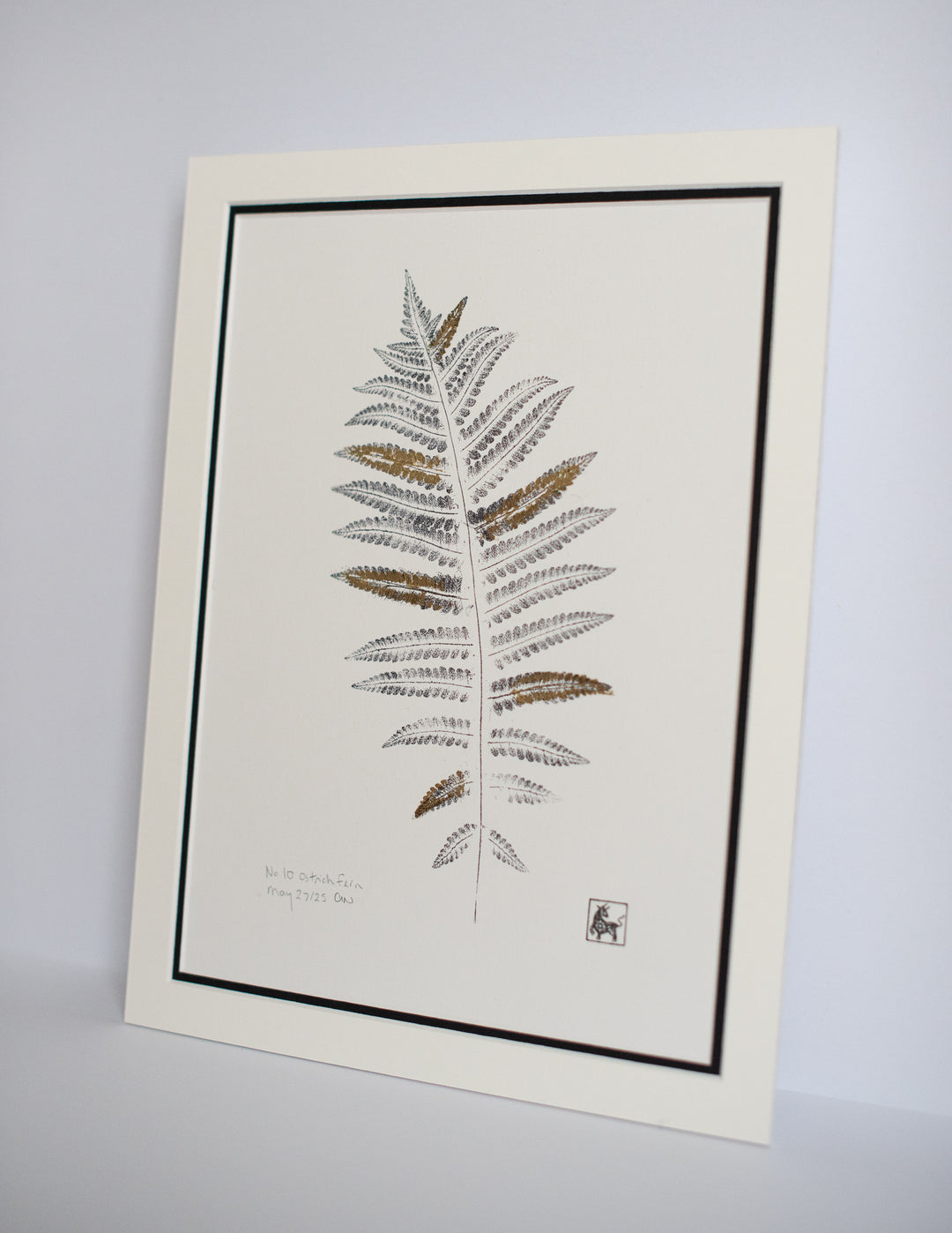 No 10. Ostrich Fern