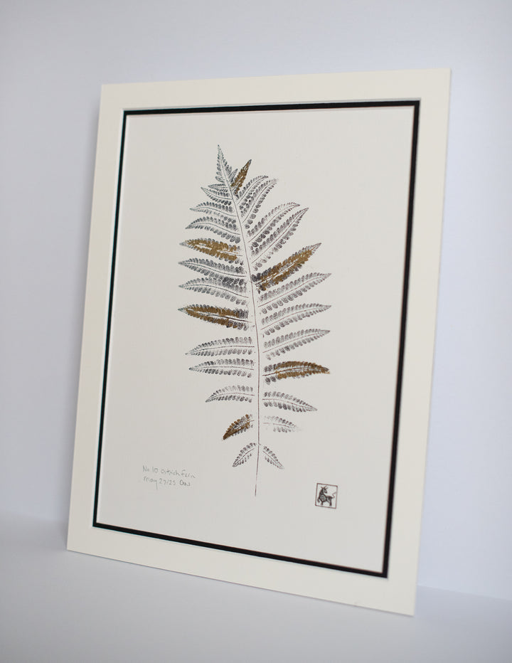 No 10. Ostrich Fern