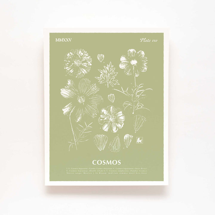October | Cosmos