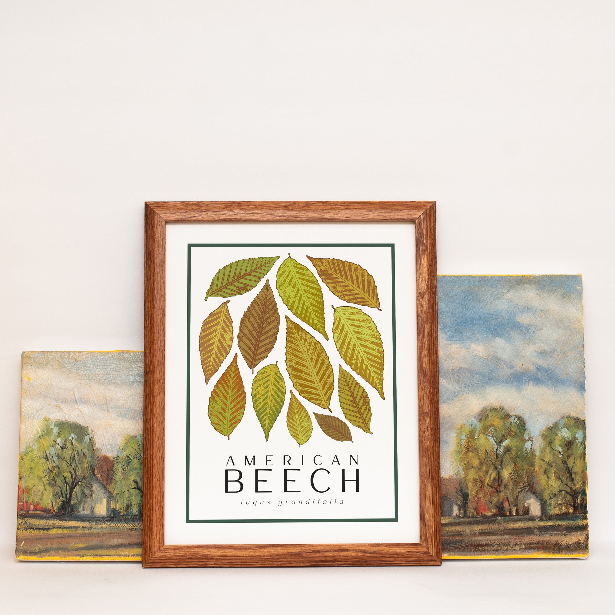 Beech Tree Art Print