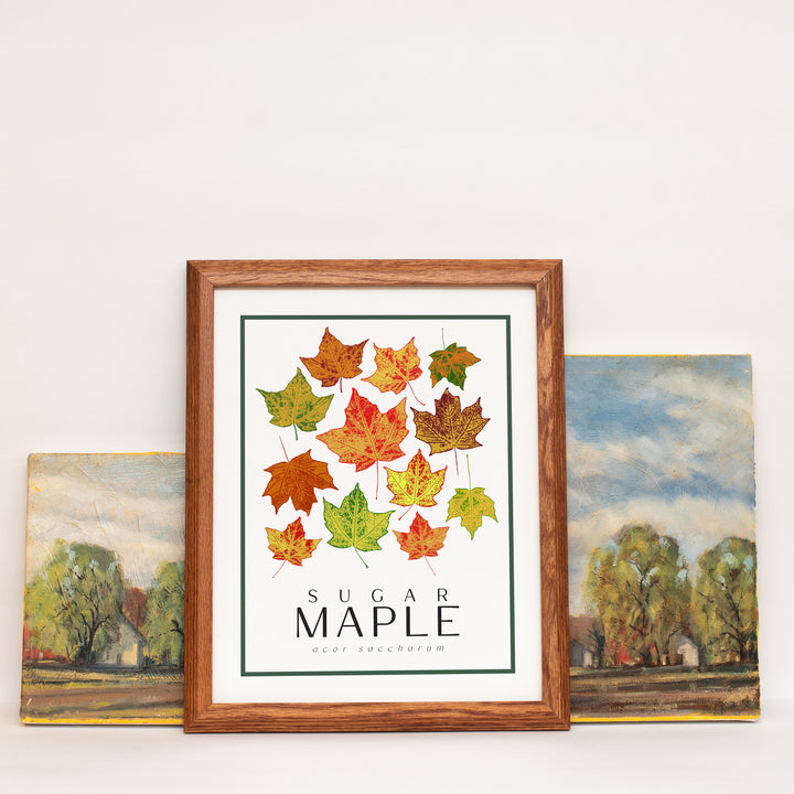 Maple Tree Art Print