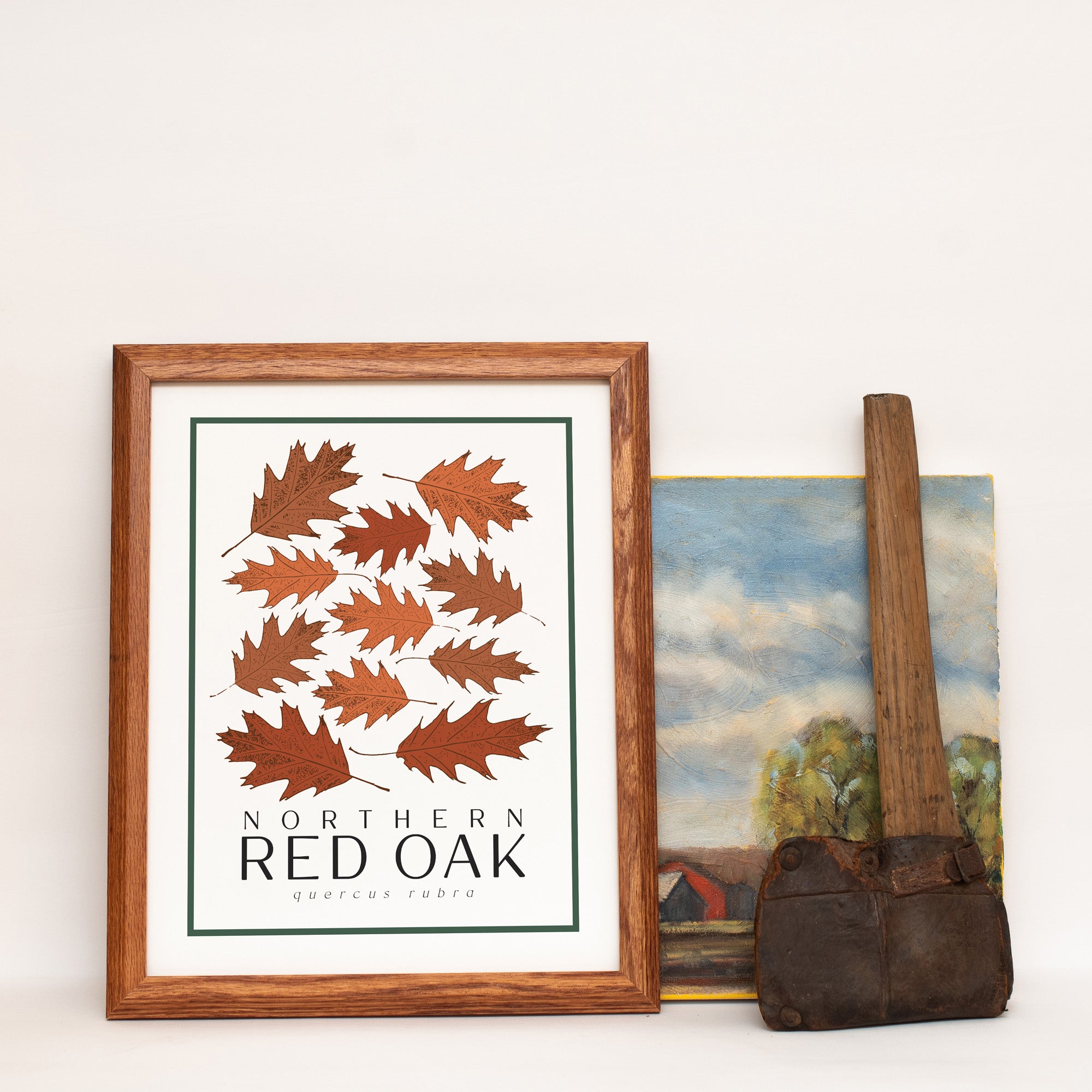 Red Oak Tree Art Print