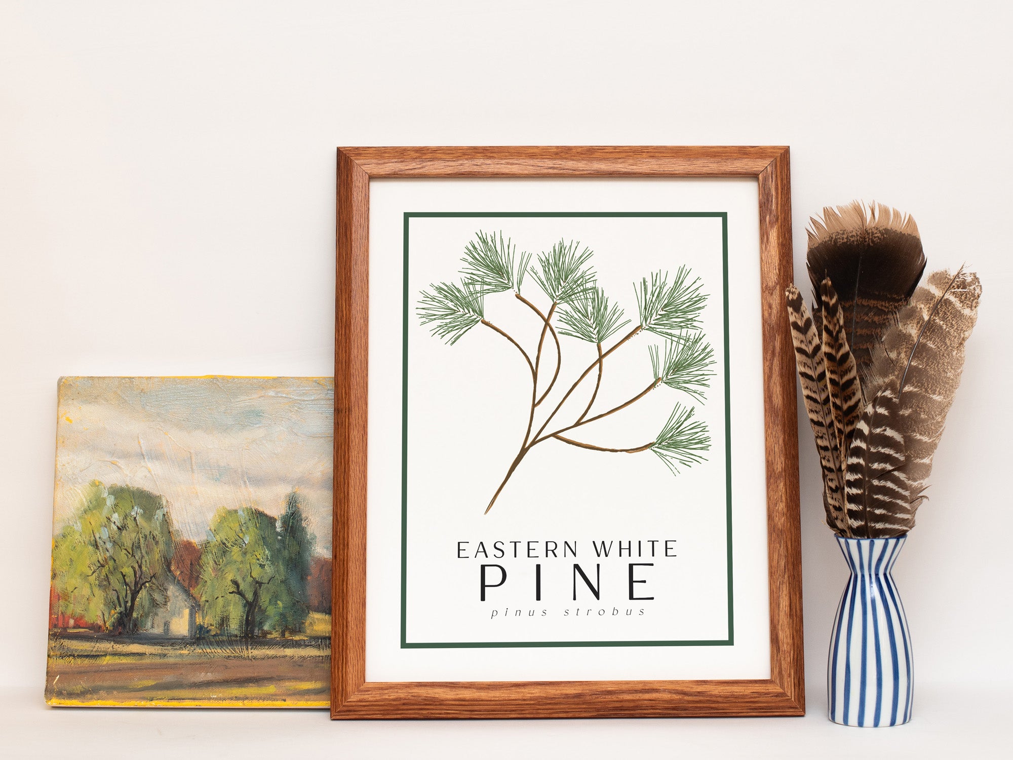 White Pine Tree Art Print
