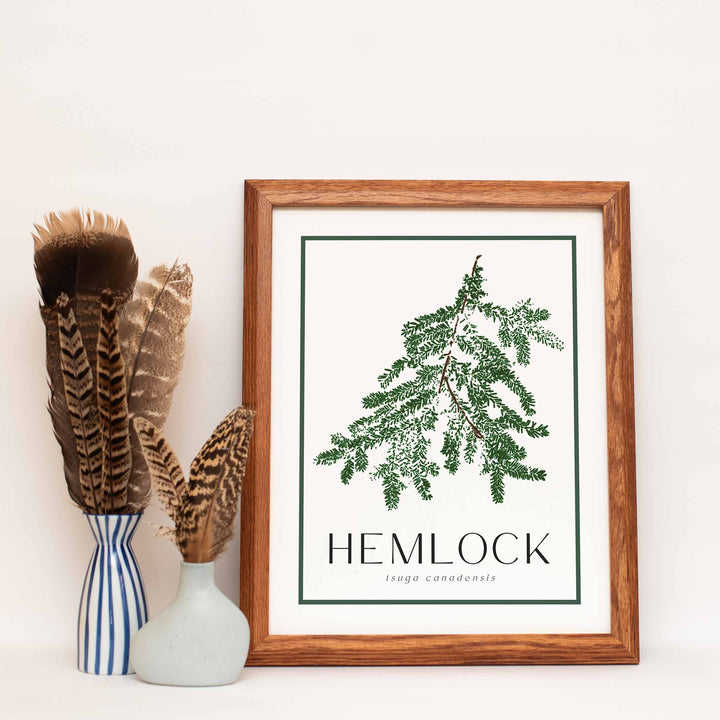 Hemlock | Tree Art Print