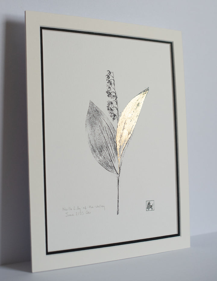 No 16. Lily of the valley